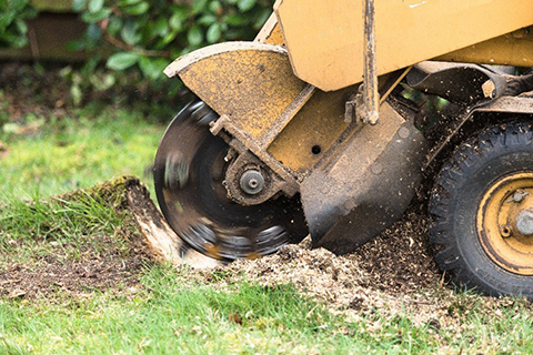 stump grinding company south new jersey