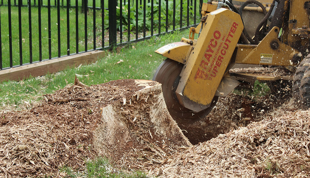 NJ's Best Stump Grinding And Removal